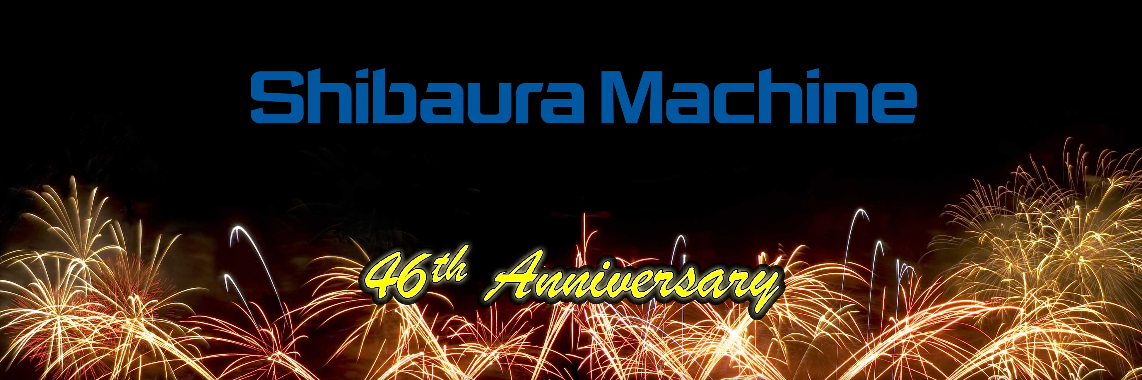 46 Anniversary Fireworks 3